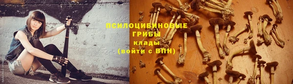 apvp Карабаново