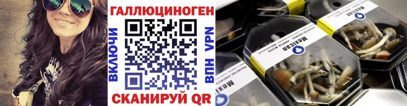 купить Аркадак Псилоцибиновые грибы Magic Shrooms